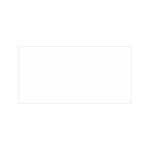 MURO BLANCO NEW BRILLANTE 30X60